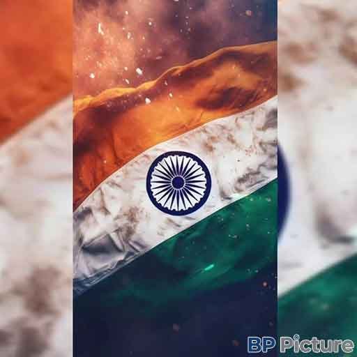 Beautiful Indian Flag Dp