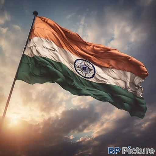 Beautiful Indian Flag Dp