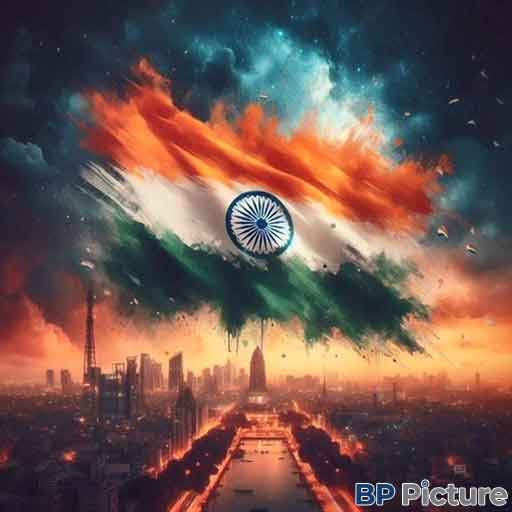 Beautiful Indian Flag Dp