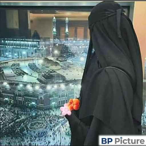 Hijab Girl Dp Cartoon
