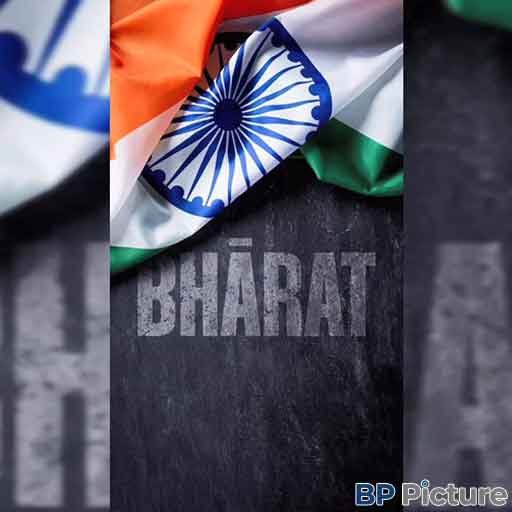 Indian Flag Dp For Whatsapp