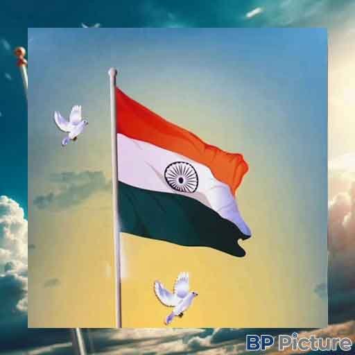 Indian Flag Dp Hd Download