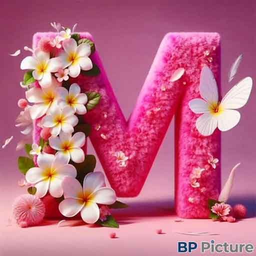M Letter DP