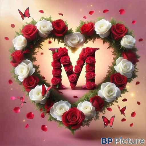 M Letter DP