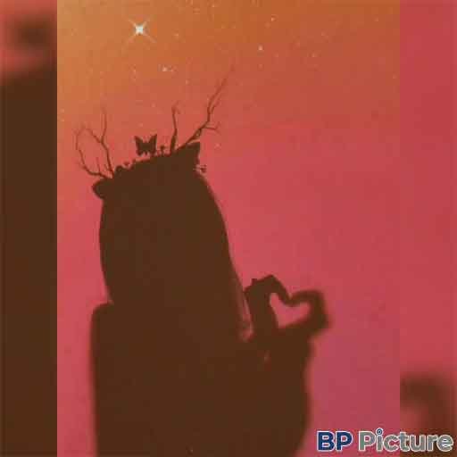 Profile Attitude Girl Dp