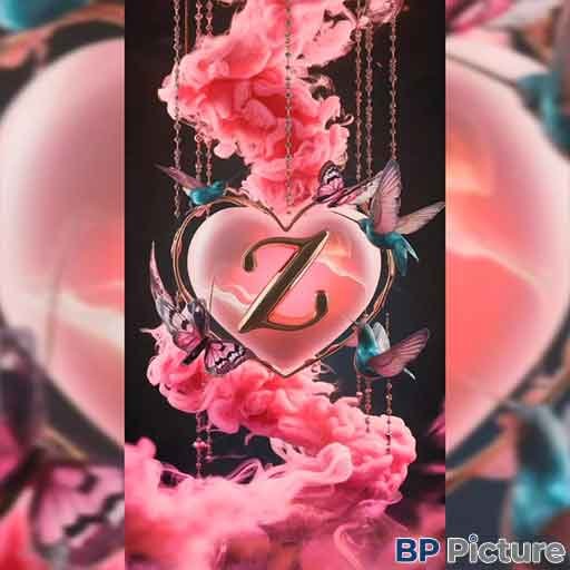 Z Letter DP