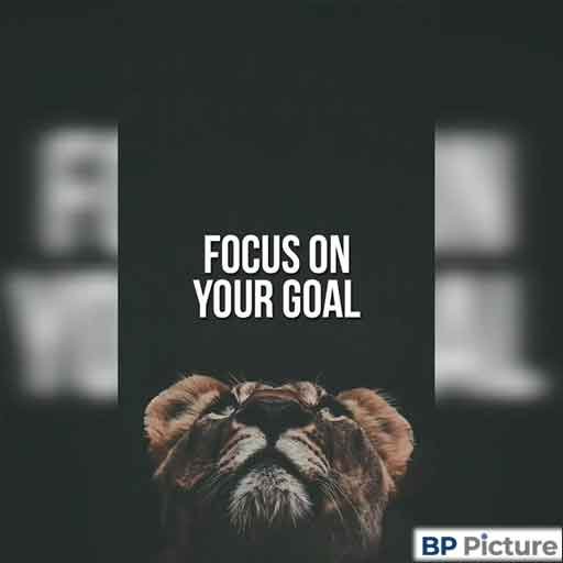 199+ Motivation Dp Collection | Motivation Images Download 14 Motivation DP