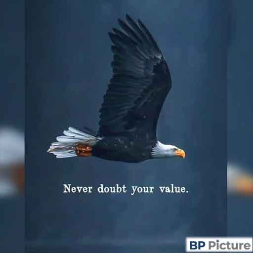 199+ Motivation Dp Collection | Motivation Images Download 15 Motivation DP