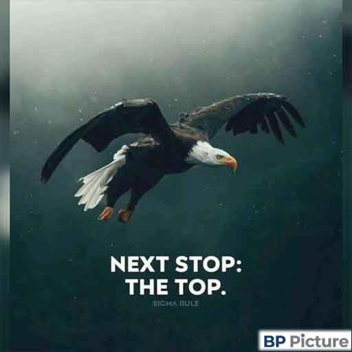 199+ Motivation Dp Collection | Motivation Images Download 29 Motivation Dp Whatsapp