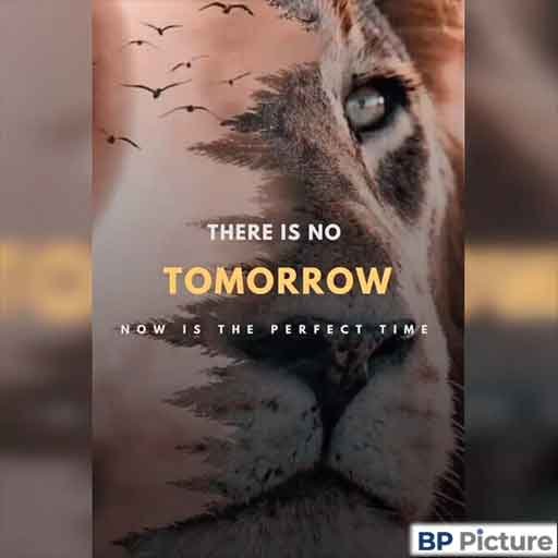 Motivation Dp Whatsapp