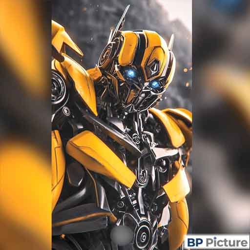 Transformers Dp