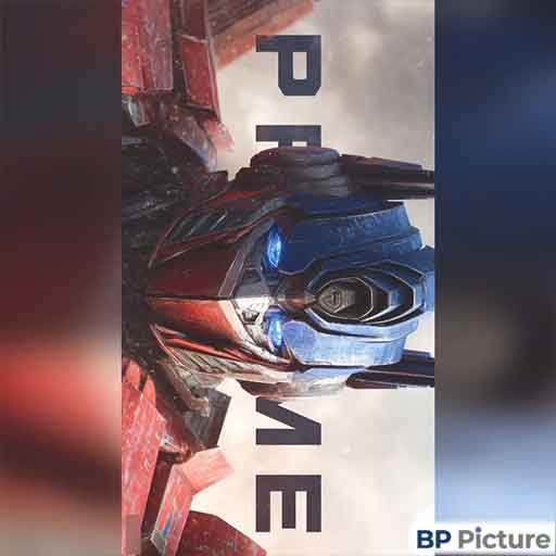 Transformers Dp