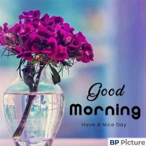 Good Morning Dp