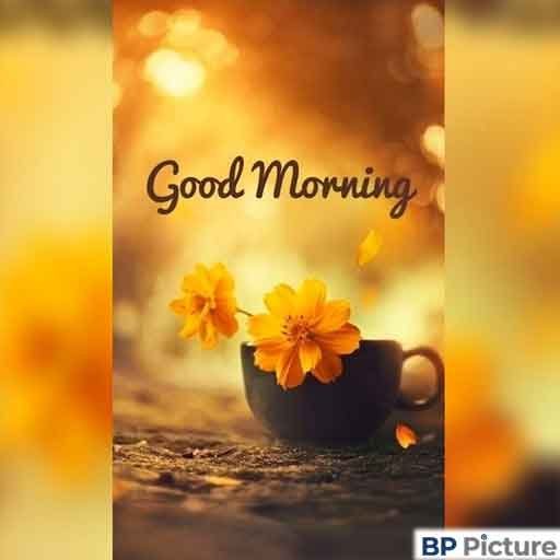 Good Morning Image