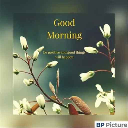 Good Morning Photo