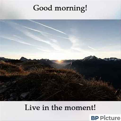 Good Morning Pic
