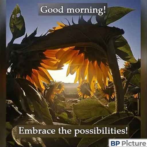 Good Morning Pic
