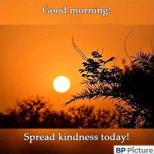 Good Morning Pic