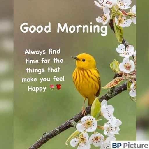 Good Morning Pic