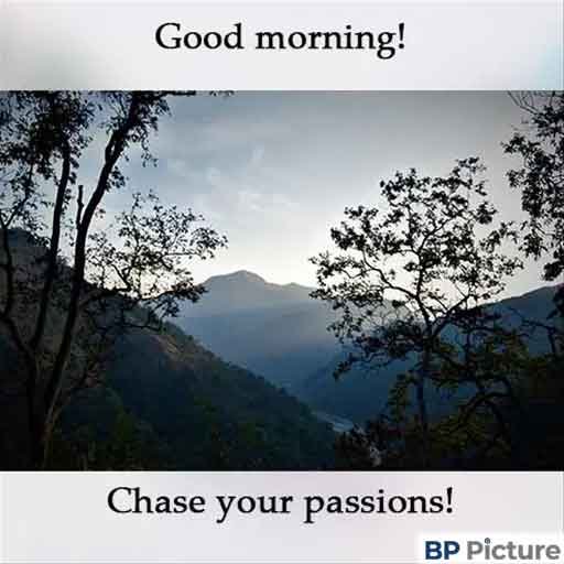 Good Morning Pic