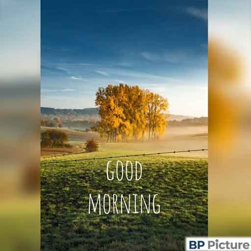 Good Morning Pic