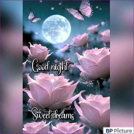 Good Night Dp Photo