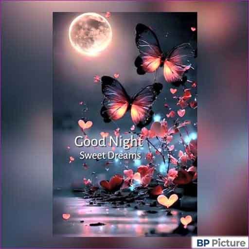 Good Night Dp Photo