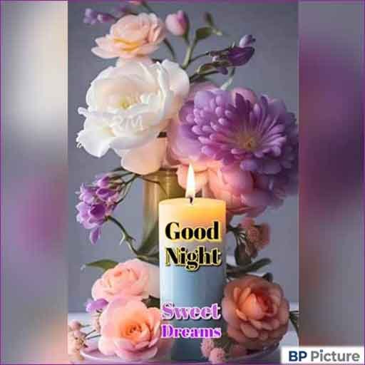 Good Night Dp Photo