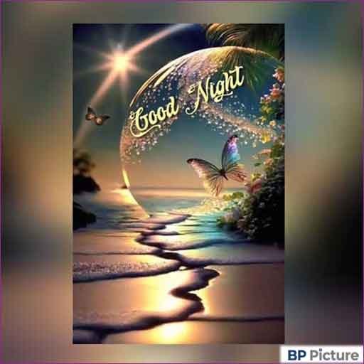 Good Night Dp Photo