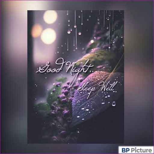 Good Night Dp Photo