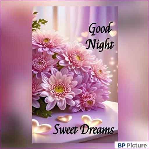 Good Night Dp Photo