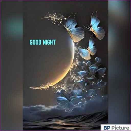 Good Night Dp Photo