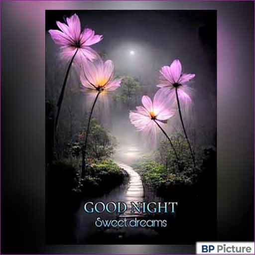 Good Night Dp Photo