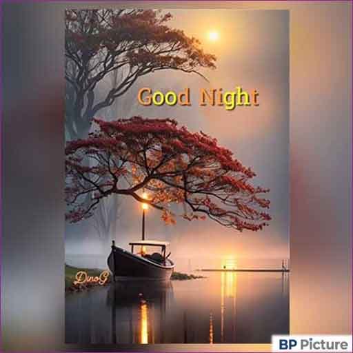 Good Night Dp Photo