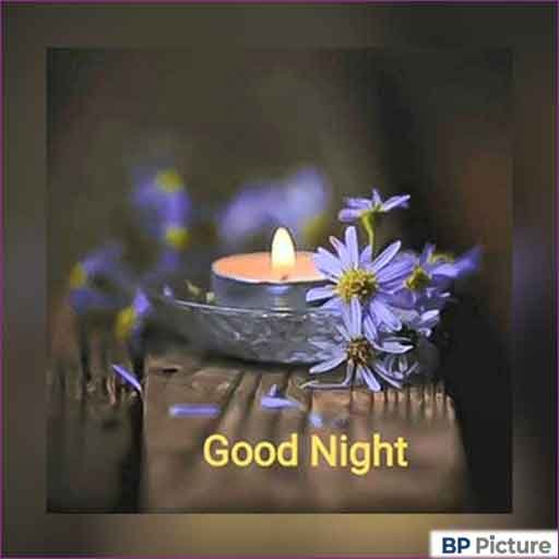 Good Night Dp Photo