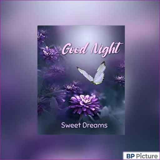 Good Night Dp Photo