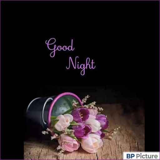 Good Night Dp Photo