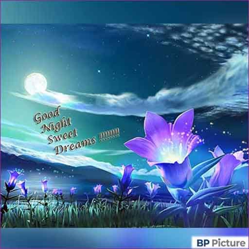 Good Night Images