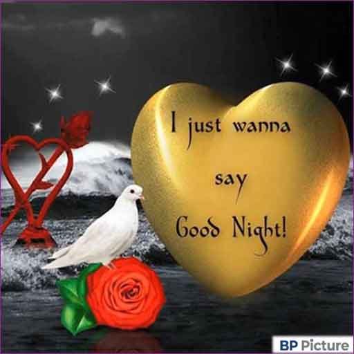 Good Night Images