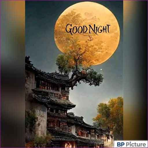 Good Night Images