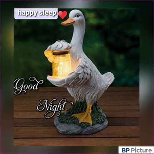 Good Night Images