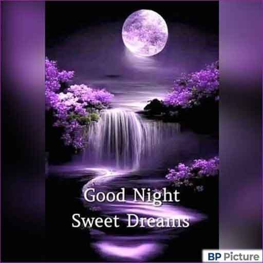 Good Night Images