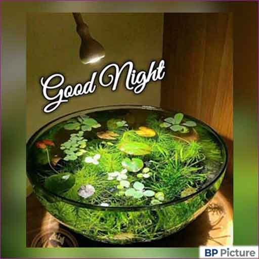 Good Night Images