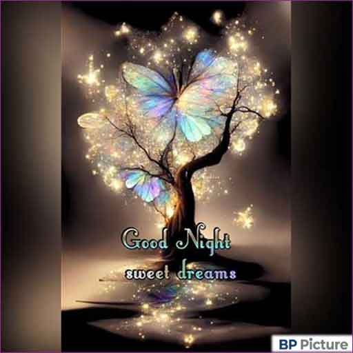 Good Night Images