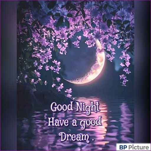 Good Night Images