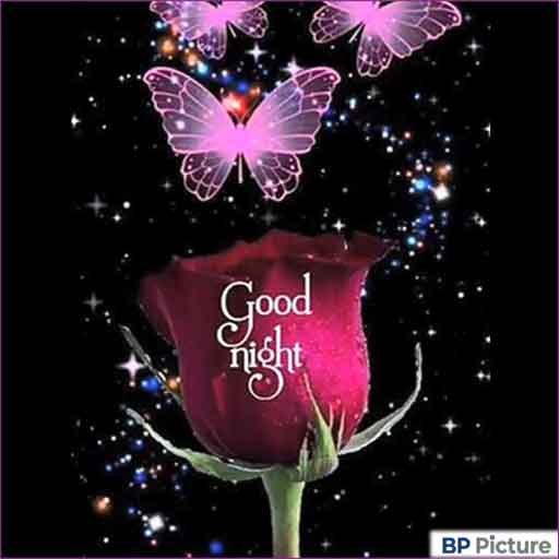 Good Night Photo