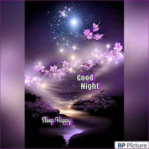 Good Night Photo