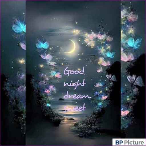 Good Night Photo