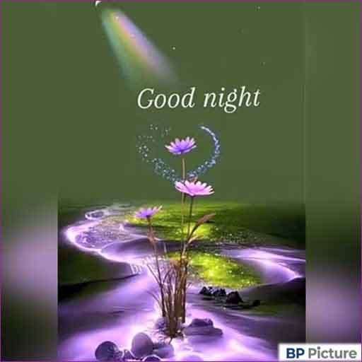 Good Night Photo