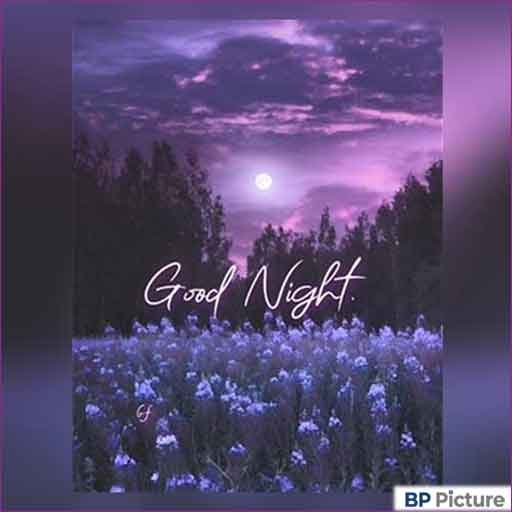 Good Night Photo